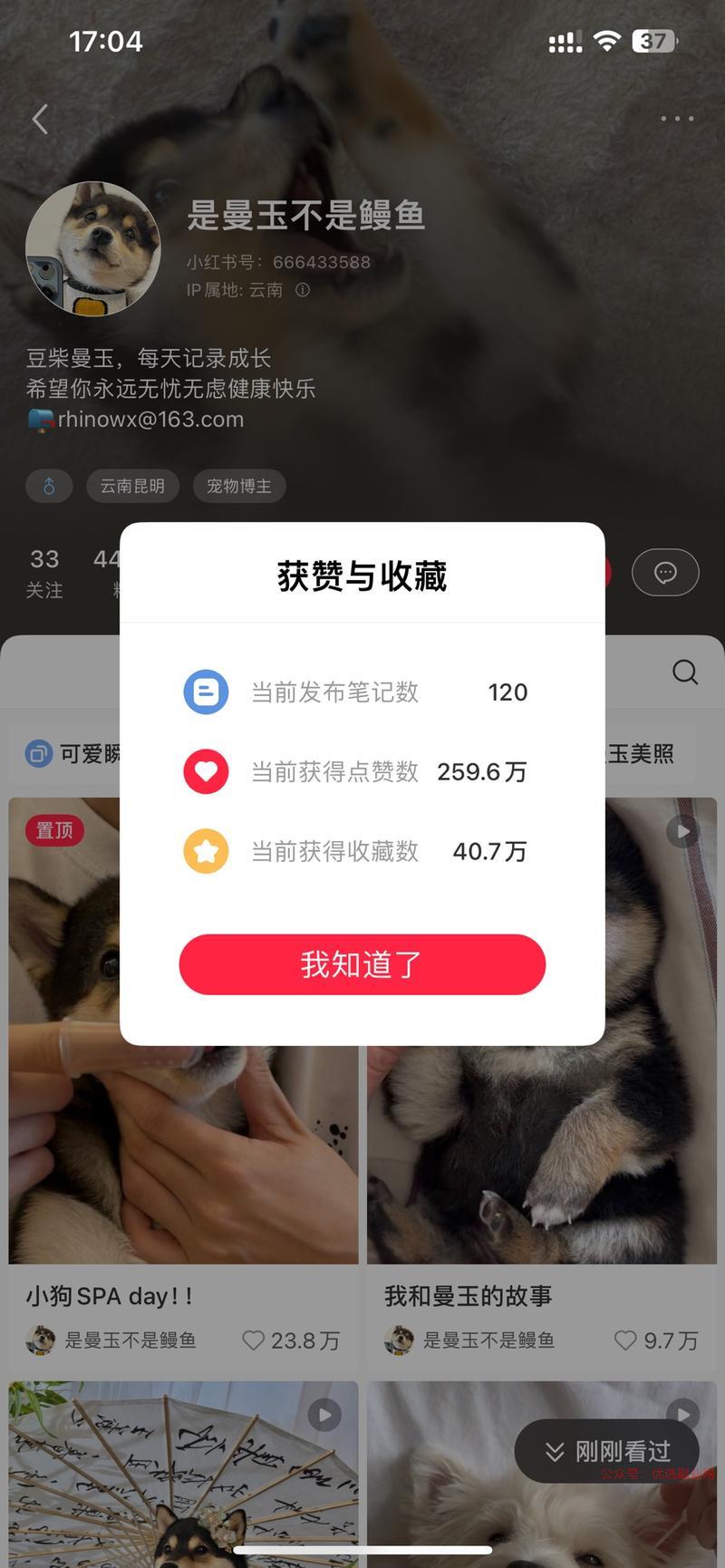是曼玉不是鳗鱼，这个账…#情报-搞钱情报论坛-网创交流-优选副业网